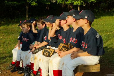 2012 VLL Rookie League Red Sox