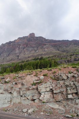 DSC_0098.jpg