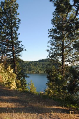 DSC_0585.jpg