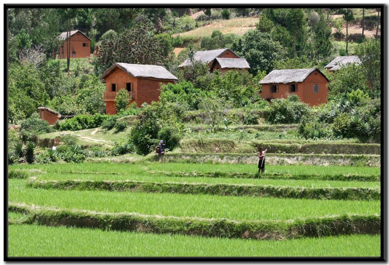 Tierras altas