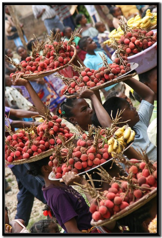 Tren Fianarantsoa - Manakara