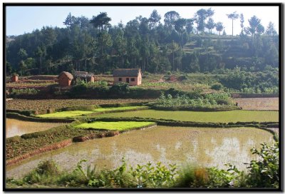 Camino de Antsirabe