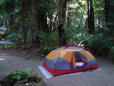 Tent_In_Redwoods.JPG