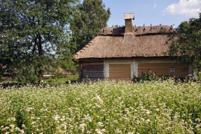 Thatched log house, Middle Dnipro Region, Pyrohiv