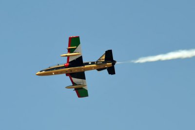 UAE Air Force - Aermacchi MB-339A