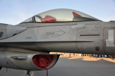 UAE Air Force F-16