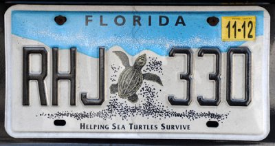 Florida License Plate - Helping Sea Turtles Survive