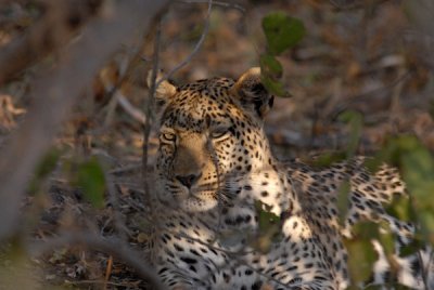 BotswanaJun12 0436.jpg
