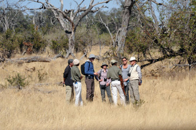 Another small group on a walking safari