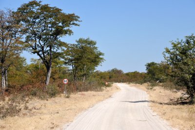 BotswanaJun12 1036.jpg