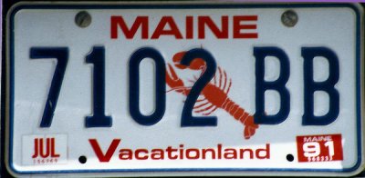 Maine License Plate (1991)