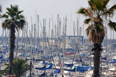 Port Olimpic, Barcelona