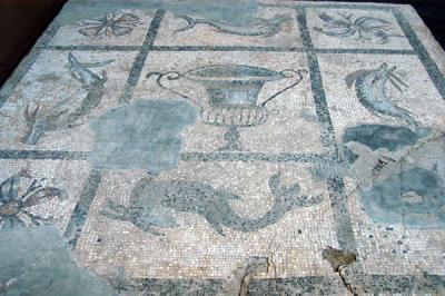 Floor mosaic, Ephesus Museum