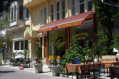 g4/93/329493/3/60322302.TurkeyApr06383.jpg