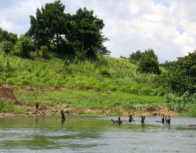 Local boys swimming