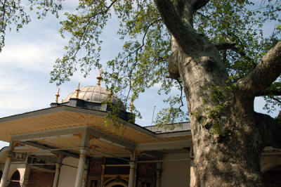 Gate of Felicity with a large tree in the 2nd Court