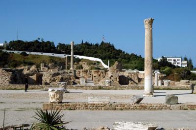 Antonine Baths, Carthage - please disregard all behind that white wall