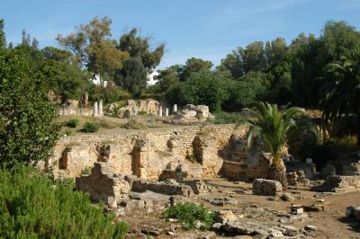 Ruins of Ancient Carthage