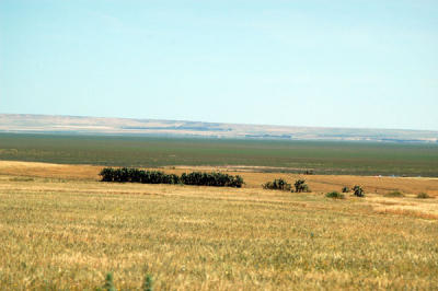 The open plains around Kairouan, Tunisia