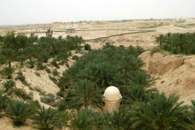 Part of La Palmerie of Tozeur from the terrace of the Ksar Rouge Hotel