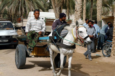 Horse and buggy