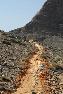 An old irrigation channel