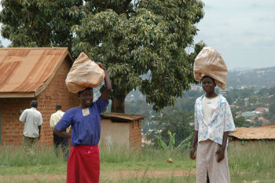 Ugandan girls carrying bundles on their heads