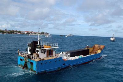 LCT Happy, Zanzibar