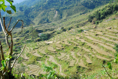 I took the motorbike on a short drive out of town SW on the Siddhartha Highway
