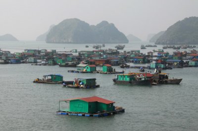 Floating village, Cat Ba Harbor