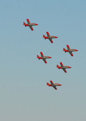 g4/93/329493/3/91278913.4dD4PWaY.jpg