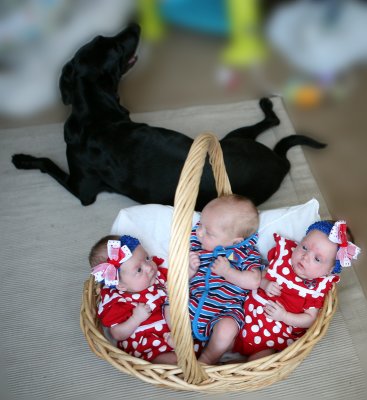 All three and Sadi
