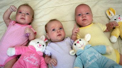 IMG_2295.jpg