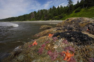 Olympic National Park