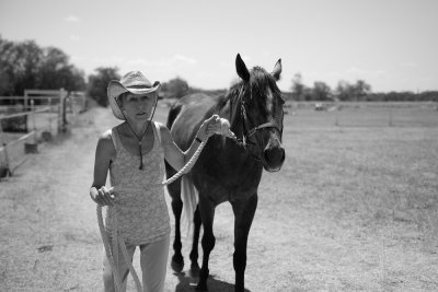 Equine Imagery