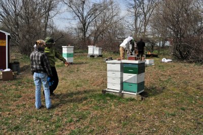Spring apiary, April, 2011