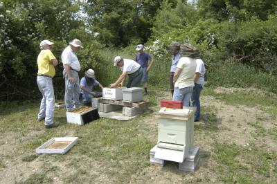 L.V.B.A. Members in the club apiary