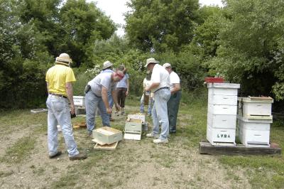 Setting up some new hives