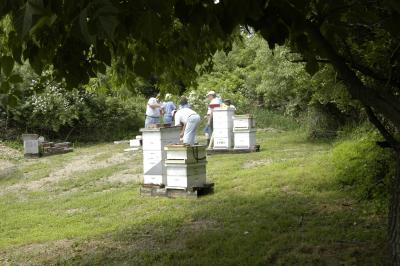 Lehigh Valley Beekeepers Assn.