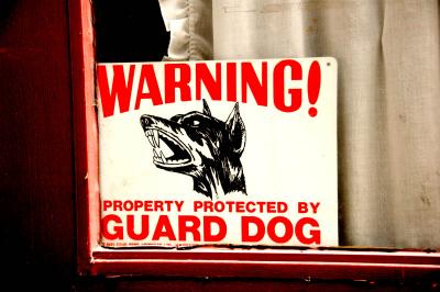 guard dog