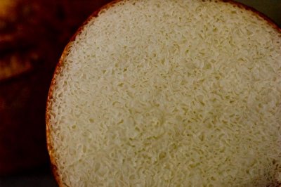 Rhizopogon sp. New Jersey Truffle cross-section (2007 foray)