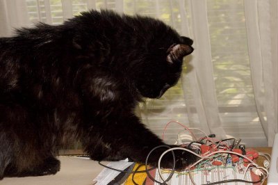 PWNing the wires - 1