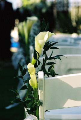 R16-17.jpg