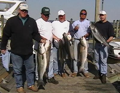 RICH ,STEVE,DAVID, GUS AND RANDY, ENJOYED A TROPHY DAY OUT OF CHESAPEAKE BEACH