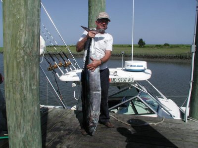 WAHOO THAT WAYNE NUSBAUM CAUGHT OUT OF WACHAPREAQUE, VA. THE LAST WEEK IN JULY OF THIS YEAR. IT WAS 61 INCHES AND WEIGHED 50.4 L