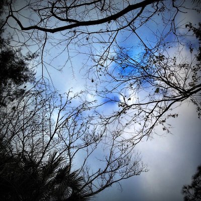 Winter Morning