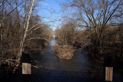 Unami Creek from Bridge