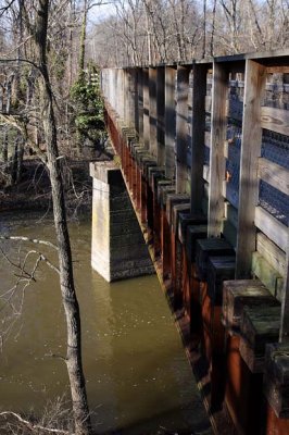 Unami Creek from Bridge