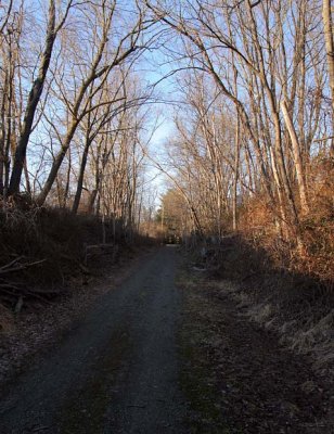 North from Crusher Road