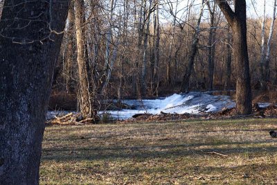 Remains of Mill Dam